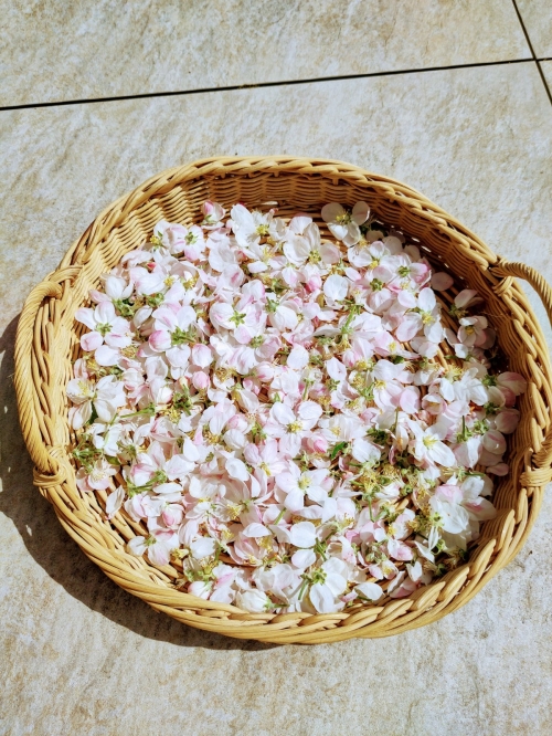 Herbal tea